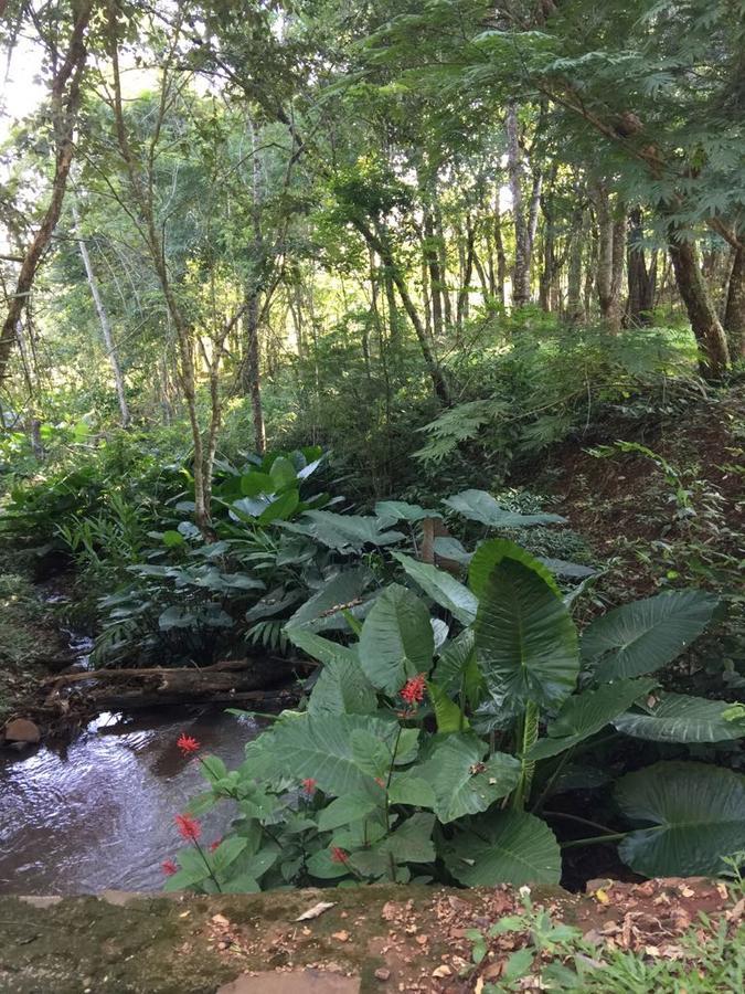 푸에르토이과수 Casa Naturalis Iguazu 빌라 외부 사진